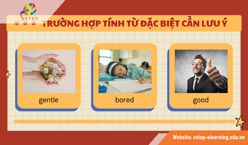 Các tính từ đặc biệt cần lưu ý
