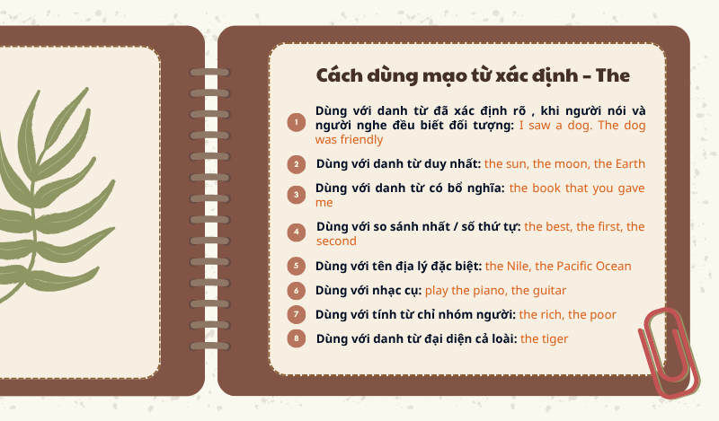 Cách dùng mạo từ xác định – The