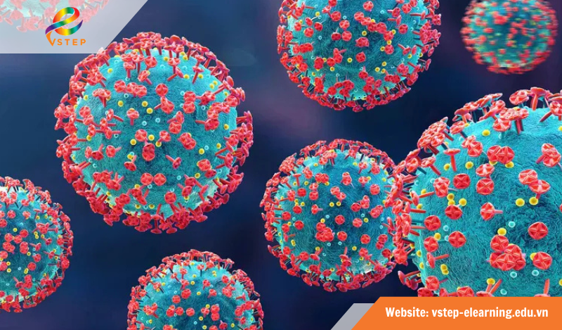 VSTEP Reading Passage 4