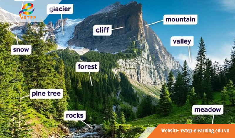 Vì sao học từ vựng lại quan trọng?